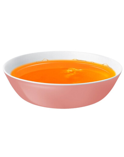 VOSKES Soup with Salmon 50 g polievka s lososom pre mačky