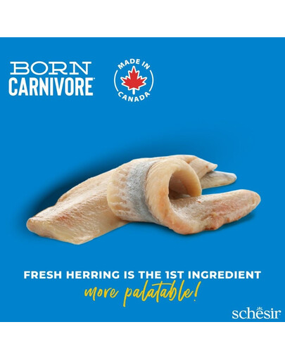 SCHESIR Born Carnivore Sleď a losos 1,25 kg suché krmivo pre dospelé mačky