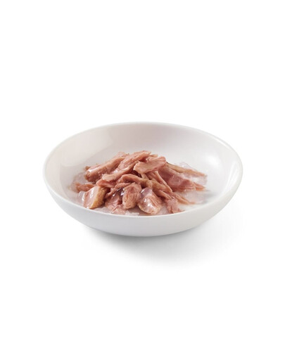 SCHESIR Tuniak v želé 6x50 g mokré krmivo pre mačky