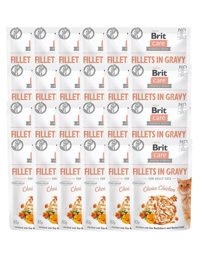 BRIT Care Fillets in Gravy Mix chutí 48 x 85 g kuracích, morčacích a lososových filetov v omáčke pre mačky