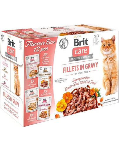 BRIT Care Fillets in Gravy Cat 24 x 85 g filety z lososa s morčacím, lososovým, kačacím a kuracím mäsom v omáčke pre mačky