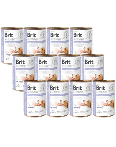 BRIT Veterinary Diet Gastrointestinal lososové krmivo pre psov s citlivým trávením 12x400 g
