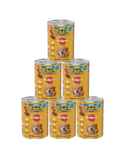 PEDIGREE Adult konzerva 6x400 g krmivo pre dospelých psov s 3 druhmi hydiny v pene