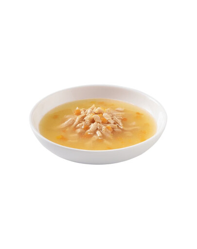 SCHESIR Soup Kurča s tekvicou 40 g doplnková polievka pre mačky
