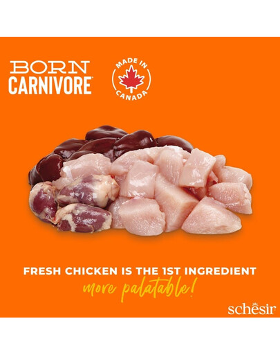 SCHESIR Born Carnivore Suché krmivo pre dospelé mačky s kuracím mäsom a vajcom 1,25 kg