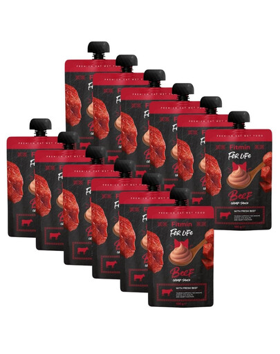 FITMIN For Life Cat Cream Sauce Beef 12x100g krémové vrecká s hovädzím mäsom pre mačky