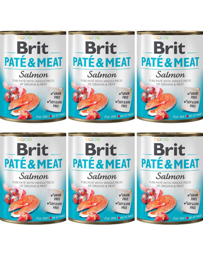 BRIT Pate&Meat Salmon 6x800 g  paštéta s lososom