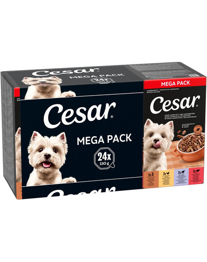 CESAR Vidiecky Guláš Mix Chutí 24 x 150g krmivo pre dospelých psov