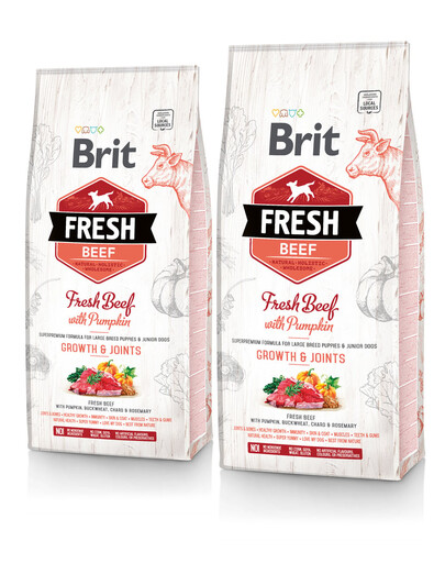 BRIT Fresh beef with pumpkin puppy large 2 x 12 kg Kompletné superprémiové krmivo pre šteňatá veľkých plemien