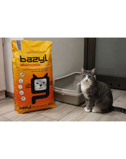 BAZYL Ekonomik 20 L