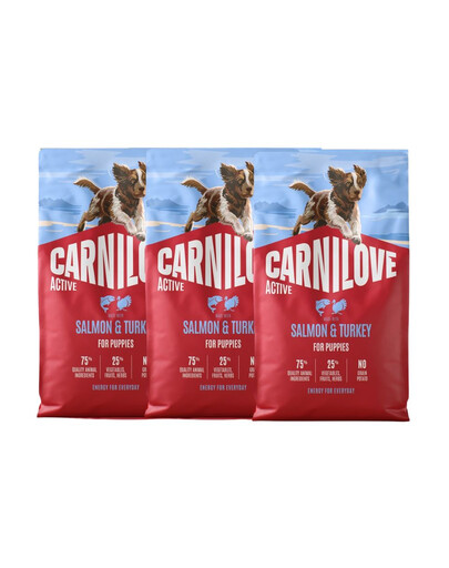 CARNILOVE Active Dog Salmon & Turkey Puppies 3x4 kg losos a morčacie, pre dorastajúce šteniatka