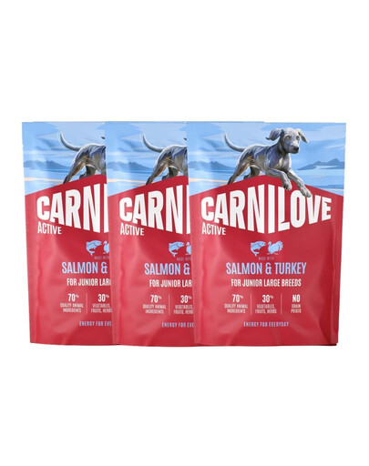 CARNILOVE Active Dog Salmon and Turkey Junior Large Breeds 3x1,5 kg losos a morčacie, pre dorastajúce juniorov veľkých plemien