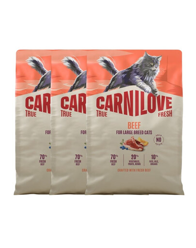 CARNILOVE True Fresh Cat Beef Adult Large 3x2 kg hovädzie, pre mačky veľkých plemien