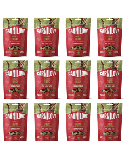 CARNILOVE Crunchy Snack Cat Salmon 12x50 g s lososom a mätou, chrumkavá maškrta pre mačky
