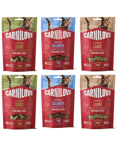 CARNILOVE Crunchy Snack Mix Príchutí 6x50 g chrumkavé maškrty pre mačky