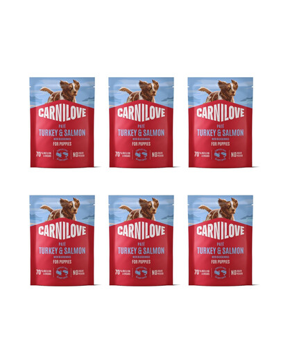 CARNILOVE Dog Pouch Turkey and Salmon Puppies 6x300g krmivo pro štěňata s krůtou a lososem