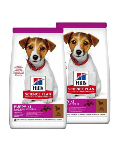 HILL'S Science Plan Puppy Small Mini Lamb and Rice 2x6 kg s jahňacím mäsom a ryžou,krmivo pre šteniatka malých plemien