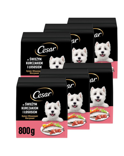 CESAR Adult s kuracím mäsom a lososom 6x800g krmivo pre psov