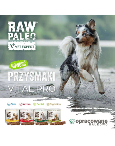 RAW PALEO Vital Pro Dental Duck Mini 100g monoproteinowy przysmak funkcjonalny dla psów