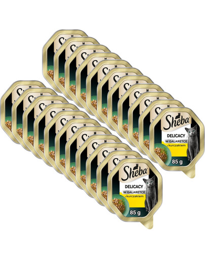 SHEBA Delicacy s kuraťom v želé 22x85 g krmivo pre mačky
