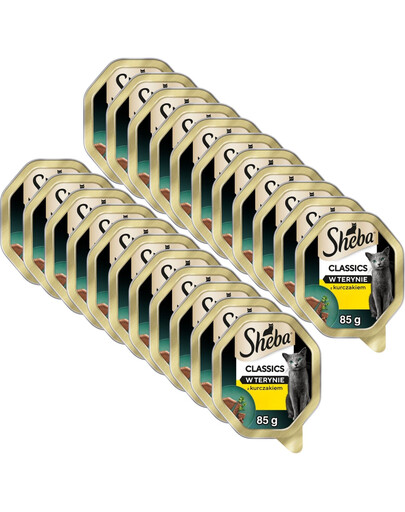 SHEBA Classics s kuraťom, paštéta 22x85 g krmivo pre mačky
