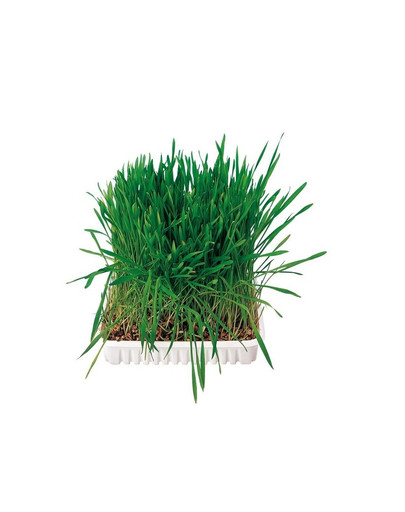 TRIXIE Tráva pre hlodavcov v miske 100 g