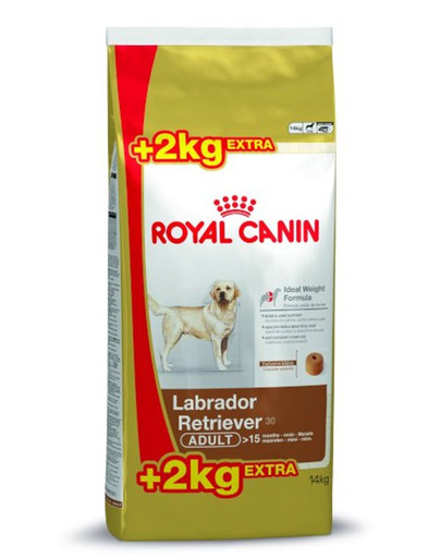 ROYAL CANIN Labrador Retriever adult 12 kg + 2 kg