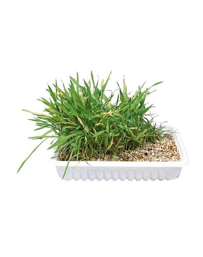 TRIXIE Miska s trávou pre mačky  130 gr