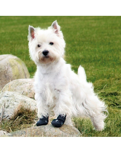 TRIXIE Ochranné topánky Walker Active, XS-S, 2 ks