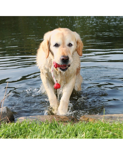 TRIXIE Zábavná hračka MOT FUN 9 cm 3236
