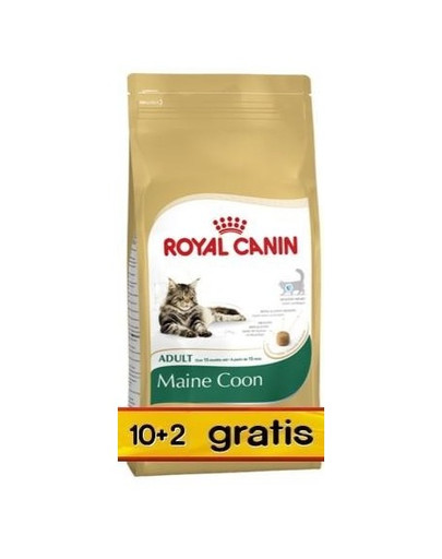 ROYAL CANIN Maine coon 10 kg + 2 kg gratis!
