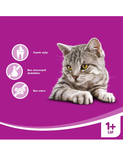 WHISKAS Dentabits na čistenie zubov 40g