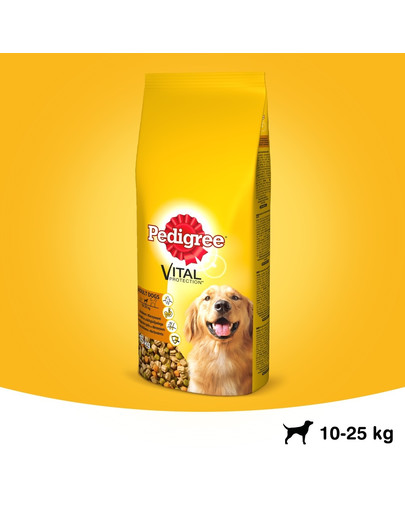 PEDIGREE Adult hydina a zelenina 15 kg