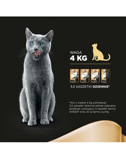 SHEBA Delikato morčacie 85 g x12