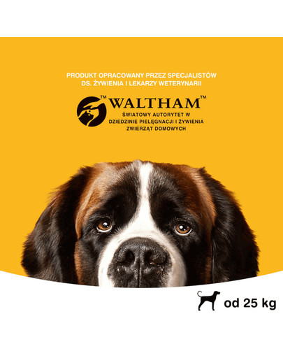 PEDIGREE DentaFlex veľké rasy 9 x 120g