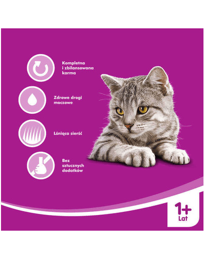 WHISKAS Rybne Dania Galaretka 4x100g