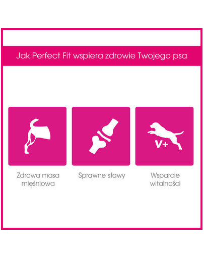 PERFECT FIT Adult (1+ rokov) pre stredné a veľké rasy - Bohaté na kuracie mäso 825g