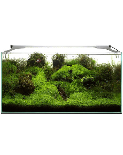 AQUAEL Leddy Slim 36W Plant 100-120 cm