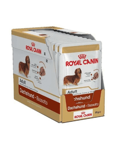 ROYAL CANIN Jazvečík Adult 12x85g