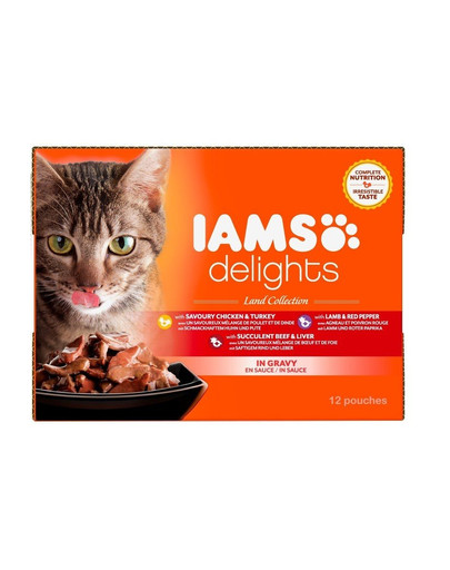 IAMS Cat Delights Adult All Breeds Land In Gravy Pouch 12 X 85 g