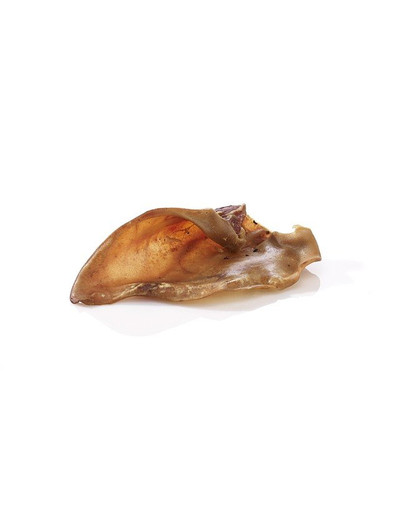 MACED Bravčové ucho veľké 1 ks.