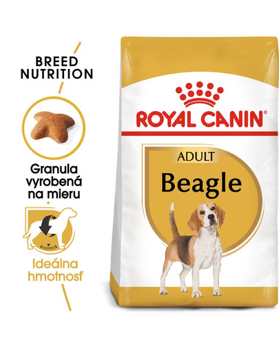 ROYAL CANIN Beagle adult 12 kg