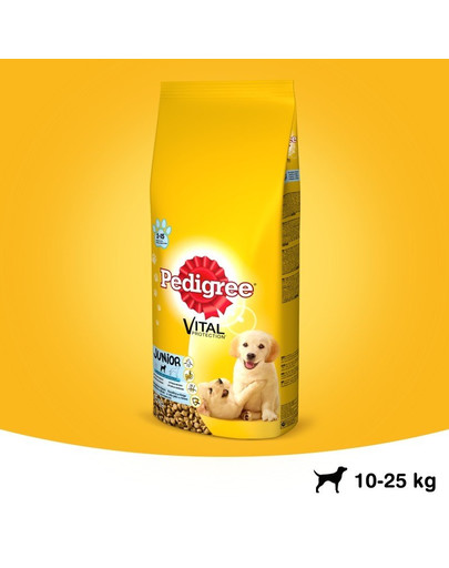 PEDIGREE Junior s kuracím mäsom a ryžou 8,4 kg