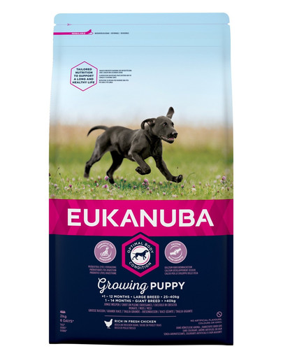 EUKANUBA Growing Puppy Large Breed Chicken 2 kg