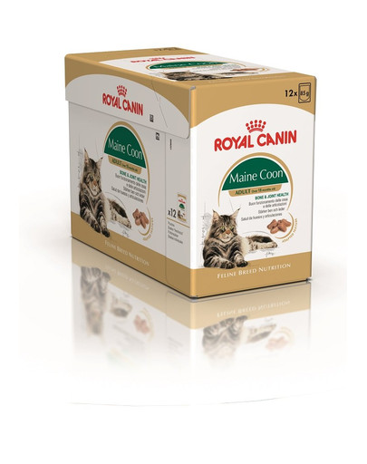 ROYAL CANIN Mainecoon 12 x 85 g