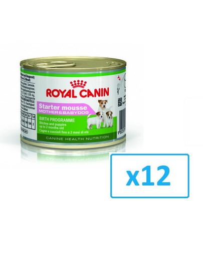 ROYAL CANIN Starter Mousse konzerva 12x195g