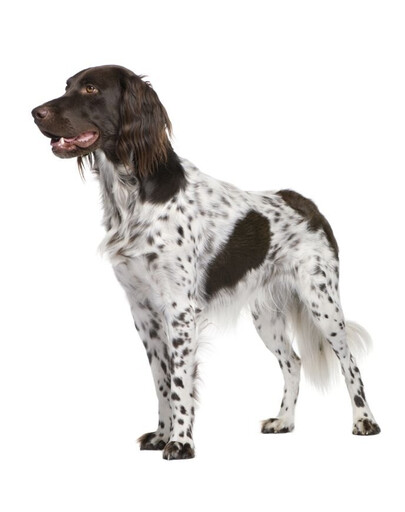FITMIN Dog Purity Grain free puppy fish 2 kg
