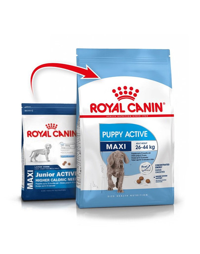 ROYAL CANIN Maxi junior active 15 kg