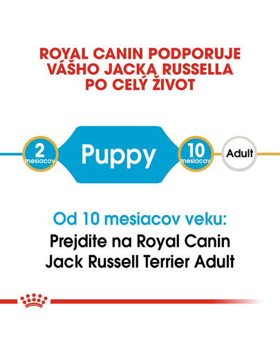 ROYAL CANIN Jack Russell Puppy 0.5 kg granule pre šteňa jack russell teriéra