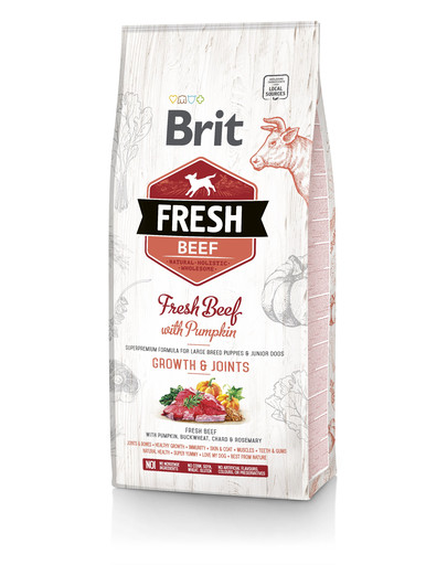 BRIT Dog Fresh Beef & Pumpkin Puppy Large 2,5 kg